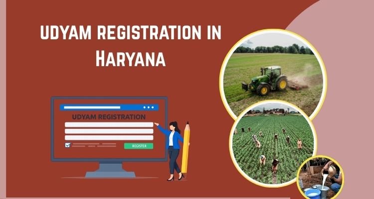 Udyam Registration In Haryana